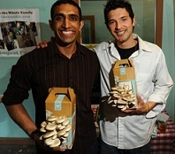 Nikhil  Alejandro Back to the Roots1