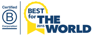 Image of Best for the World logo