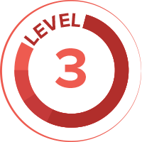 LEVEL 3